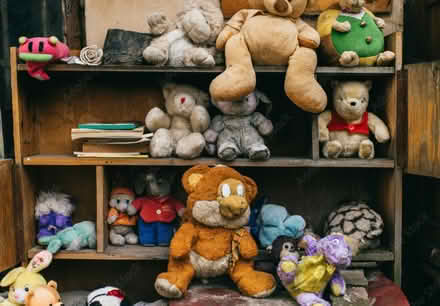 Photo of Old, damaged, unwanted soft toys (Belfast) #3