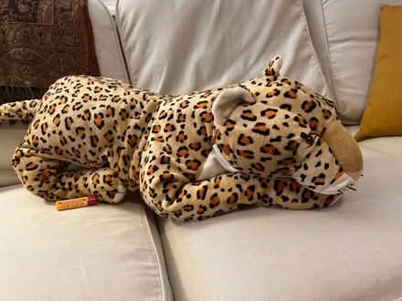 Photo of free Stuffed cheetah (leopard?) (SE DC (Ward 7)) #1