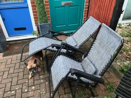 Photo of free 2 x foldable sun loungers (Herne Hill SE24) #2