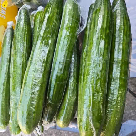 Photo of free Cucumbers Organic (Chiquita Av MtnVw) #1