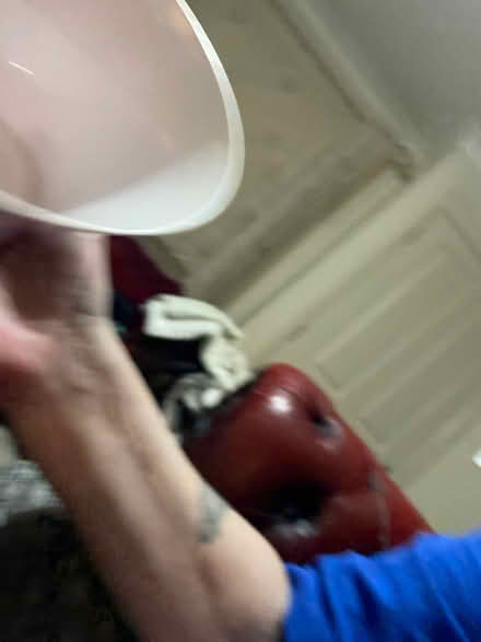 Photo of free Laser toy for cats (Moredun EH17) #4