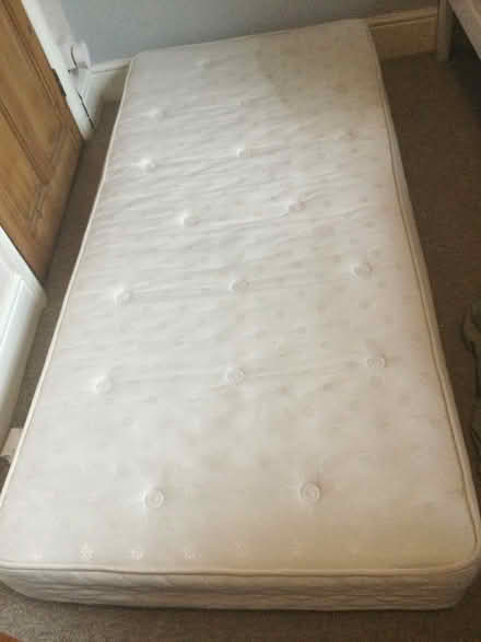 Photo of free Dorlux 3ft wide Single mattress (Babbacombe torquay TQ1) #1