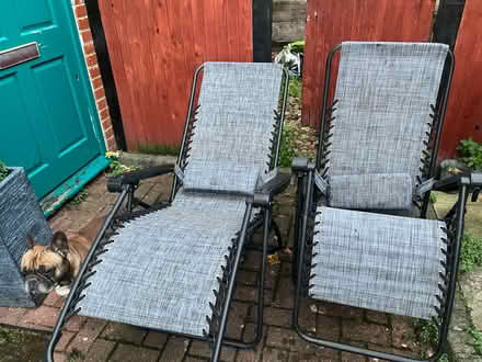 Photo of free 2 x foldable sun loungers (Herne Hill SE24) #1