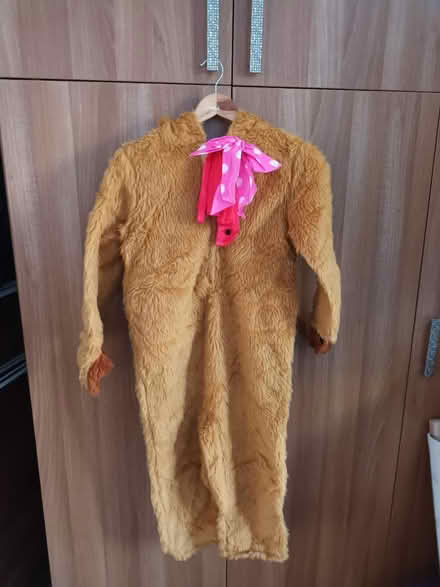 Photo of free Teddy bear dance costume (Perivale) #1