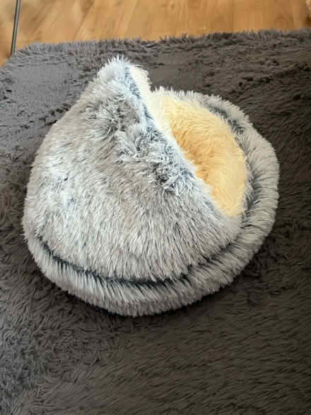 Photo of free Medium Cat Bed (Sonning RG4) #1