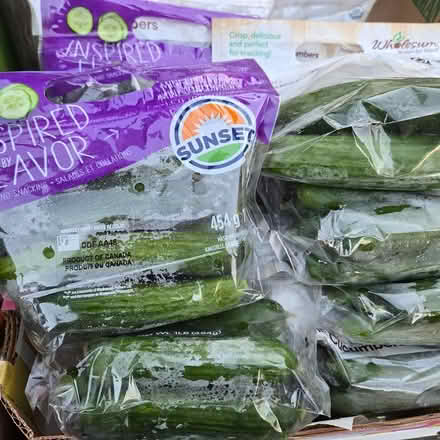Photo of free Mini Cucumbers (Chiquita Av MtnVw) #3