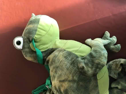 Photo of free Dinosaur Dressing Up (Great Meols CH47) #2