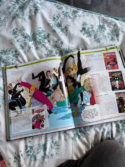 Photo of free Soiderman chronicle (Eccles M30) #4