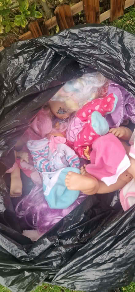Photo of free Dolls (West Denton) #1