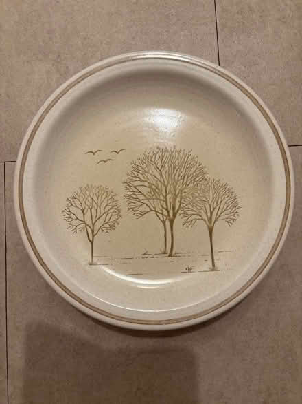 Photo of free Dinner plates (BR6 Pratts Bottom) #1
