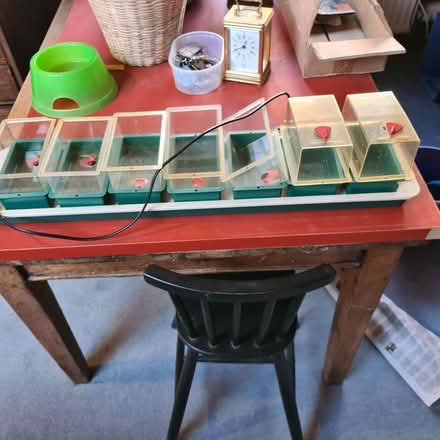 Photo of free Propagator (Raynes Park SW20) #1