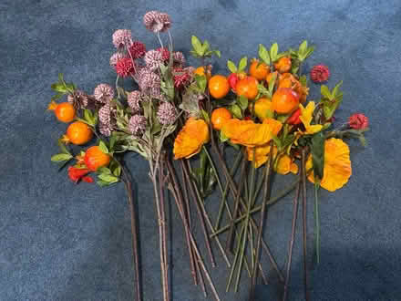 Photo of free Various Fake Flowers (Winson Green B18) #1