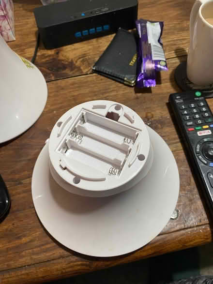 Photo of free Laser toy for cats (Moredun EH17) #2