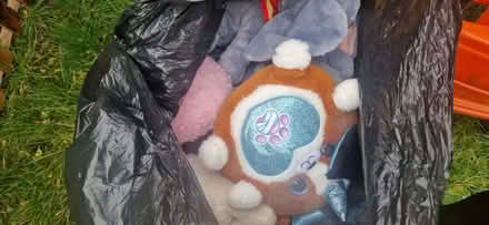 Photo of free Girls teddies (West Denton) #1