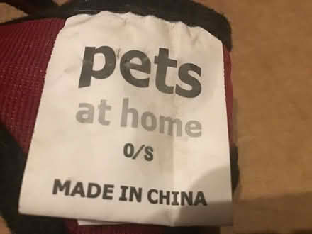 Photo of free Cat harness and lead (TQ12 kingskerswell) #2