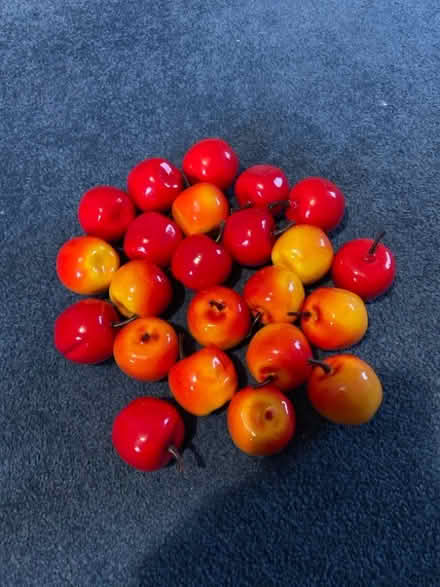 Photo of free Plastic Apples (Winson Green B18) #1