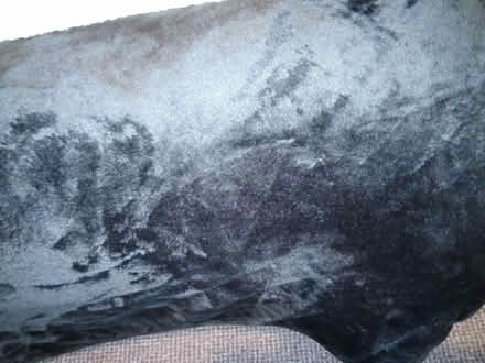 Photo of free Black throw (Willesborough) #1