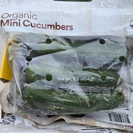 Photo of free Mini Cucumbers (Chiquita Av MtnVw) #2
