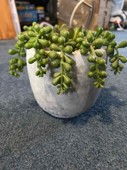 Photo of free Fake Plant in a Grey Pot (Winson Green B18) #2