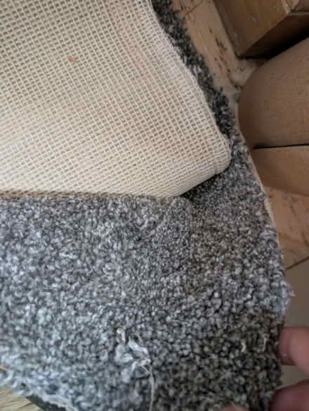 Photo of free Grey carpet and underlay (Kendal LA9) #1
