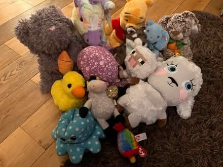Photo of free Soft toys (Hemel, HP3) #1