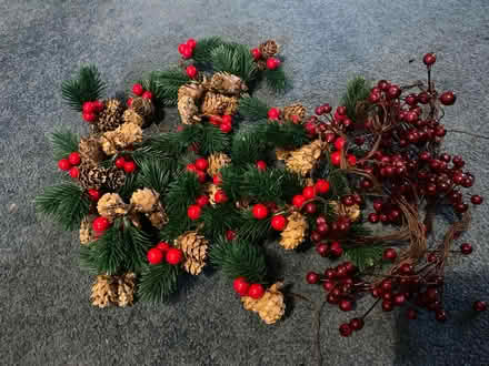 Photo of free Autumn/Winter Decorations (Winson Green B18) #1