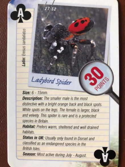 Photo of free Playing Cards featuring Insects (Great Meols CH47) #2