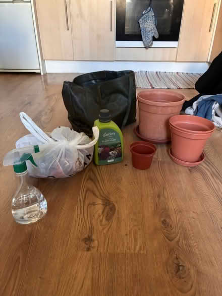 Photo of free Plant stuff (Stoke Newington N16) #1