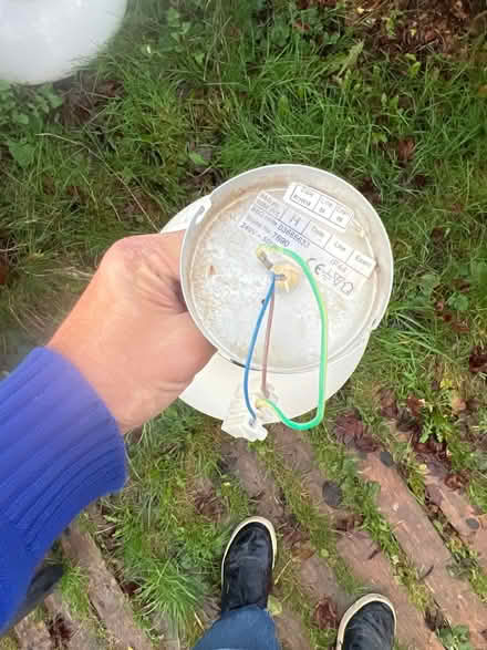 Photo of free Ceiling lamp (West acton - W3) #2