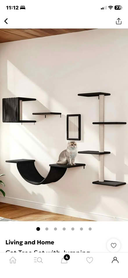 Photo of free Catification brand new (Abbeymead Gloucester) #1