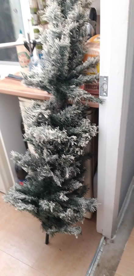 Photo of free Artificial xmas tree (DY3 gornal) #1
