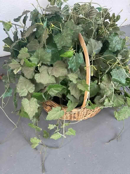 Photo of free Assorted Plastic Plants (Concord) #2