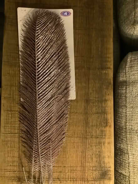 Photo of free Xmas (Hatfield AL10) #1