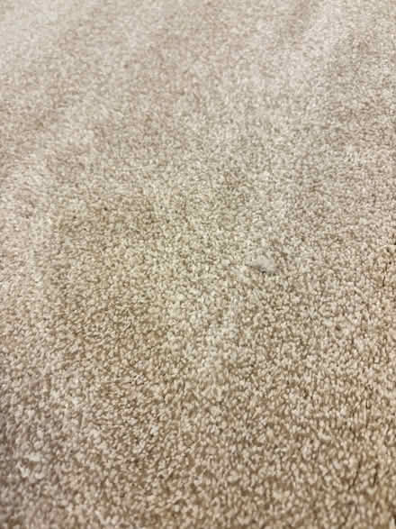 Photo of free Offcut new Cormar carpet (Flintsham HR5) #3