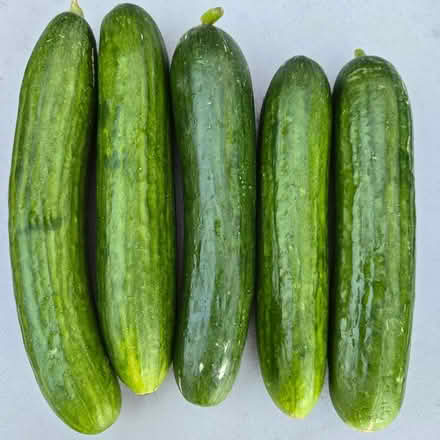Photo of free Mini Cucumbers (Chiquita Av MtnVw) #1