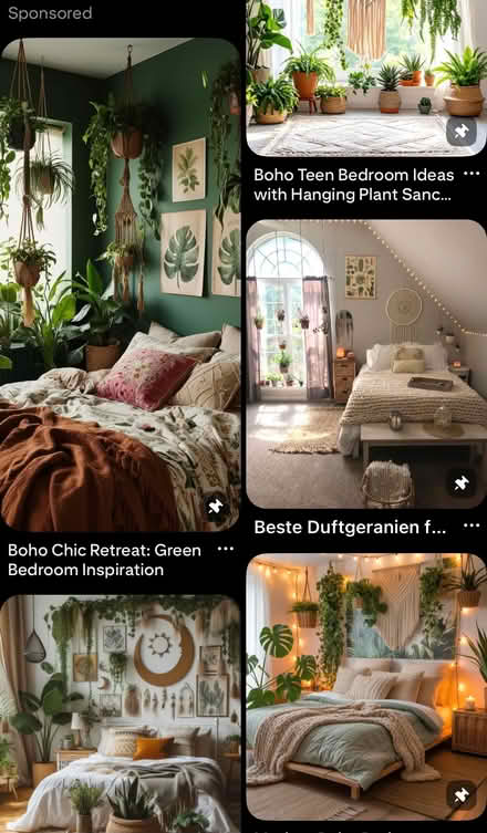 Photo of Indoor plants (Langney BN23) #2