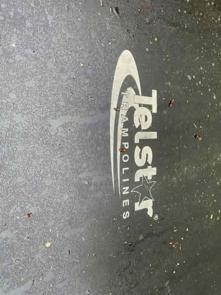 Photo of free Large trampolines (Lewes BN7) #3