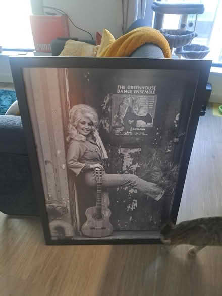 Photo of free A1 frame (Bromley-by-Bow E3) #1