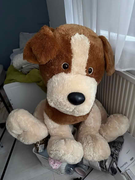 Photo of free Big cuddly dog toy (Grays RM17) #1