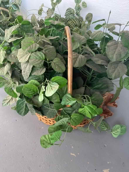 Photo of free Assorted Plastic Plants (Concord) #3
