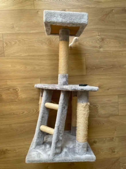 Photo of free Cat tree (Bracknell, RG12) #1