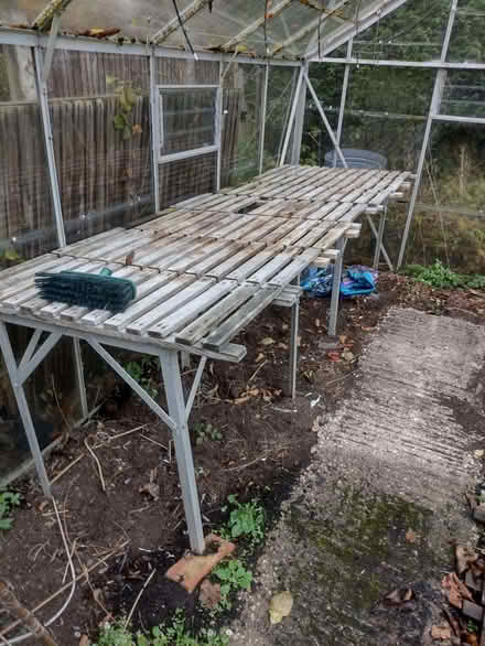 Photo of free Large greenhouse (Great Moor SK7) #1