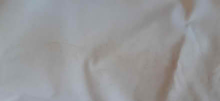 Photo of free Pair of blackout curtains (Aldingbourne PO20) #3