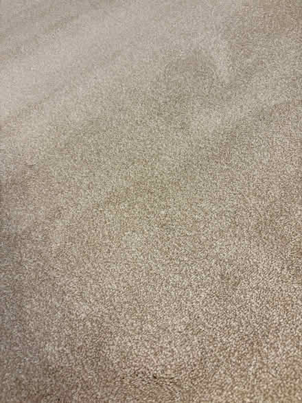 Photo of free Offcut new Cormar carpet (Flintsham HR5) #2