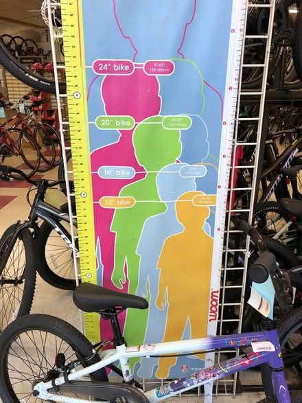 Photo of free Girls bicycle, ages 8-11 yrs (Belmont) #2