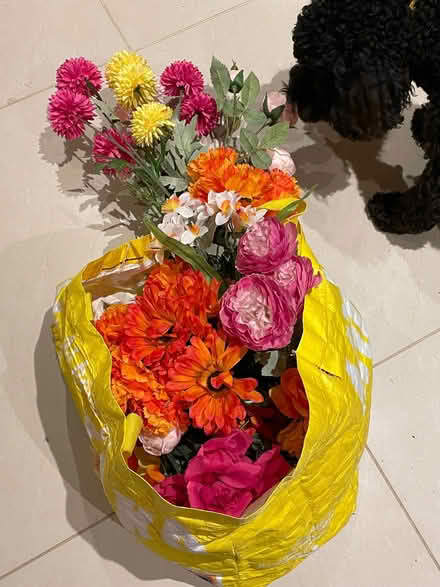 Photo of free Flowers (Shottlegate DE56) #1