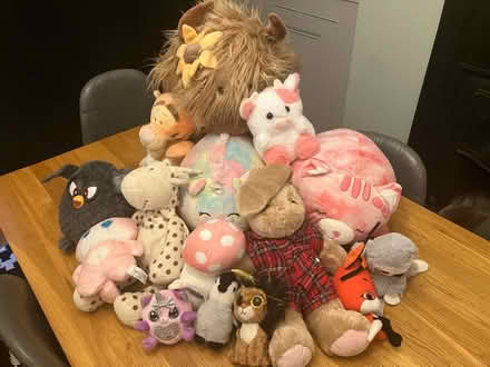 Photo of free Job lot of soft toys/plushies (Port hall place BN1) #2