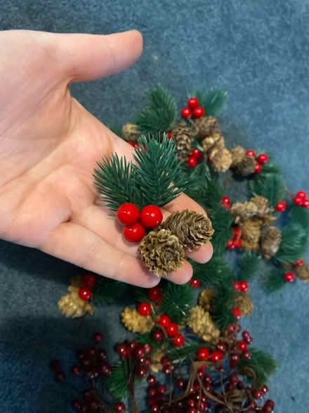 Photo of free Autumn/Winter Decorations (Winson Green B18) #2