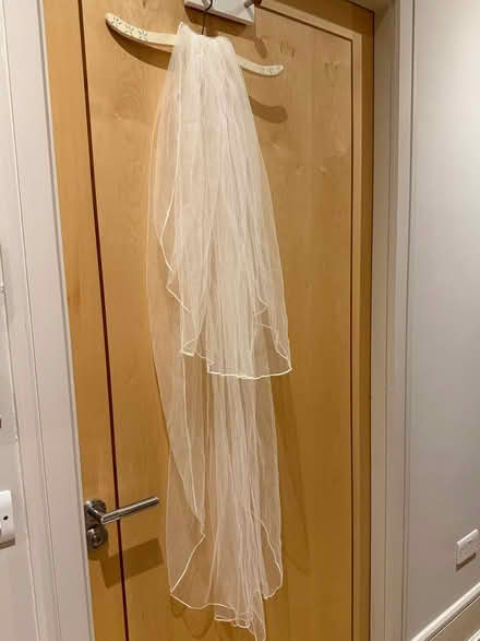 Photo of free Wedding veil (Carrickmines) #1