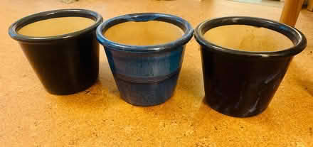 Photo of free Plant Pots (Holland Park W11) #1